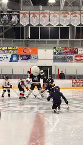 Image result for Ash Avalanche Skater Hockey Club