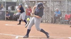 Image result for Dragons Softball Club