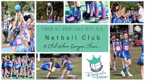 Image result for Raychem Netball Club