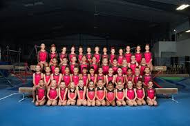 Image result for Lynx Gymnastics Club