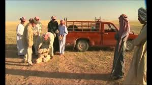 Image result for Bravo 4 Zero, Penrith, Cumbria