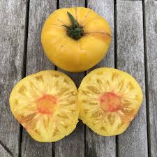 Afbeeldingsresultaat voor blushing yellow tomato