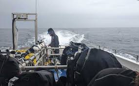 Image result for London Hellfins