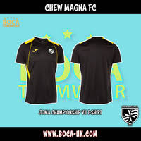 Image result for Chew Magna Cricket Club