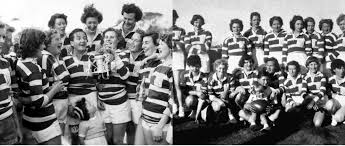 Image result for St Mary's Old Boys Rugby Union Football Club