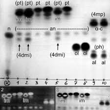 Attēlu rezultāti vaicājumam “Cetrelia sp.”