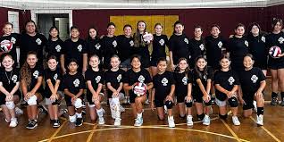 Image result for Reading Aces Volleyball Club