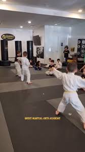 Image result for Quest Martial Arts Academy