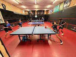 Image result for Britannia Table Tennis Club