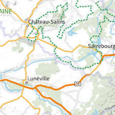Attēlu rezultāti vaicājumam “Tetratoma ancora”
