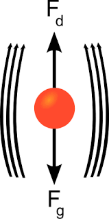 Image result for Velocity