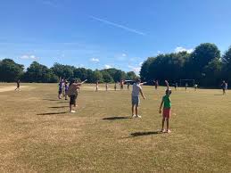 Image result for Shepherdswell Cricket Club