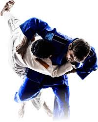 Image result for Beverley Haltemprice Judo Club