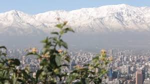 Image result for selvatici tehron