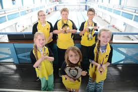 Image result for Swindon Dolphins