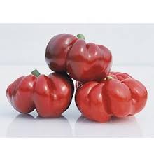 Afbeeldingsresultaat voor hungarian sweet apple sweet pepper