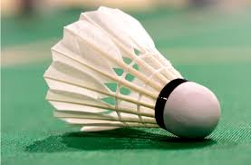 Image result for Flight Path Badminton Club