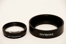 Attēlu rezultāti vaicājumam “Dianema nivale macro”