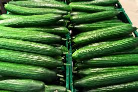 Image result for Gurke