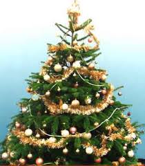 مجموعة صور لأجمل ـشجرة عيد الميلاد - صفحة 8 Images?q=tbn:ANd9GcRenhVt8Ob4ZMxxNNv7XIHvn1ndPTH3BOcXNOwAbs9yB5_YaLDCEw