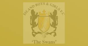 Image result for Hambro Colts Y F C