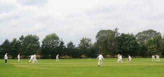 Image result for Boyne Hill Cricket Club