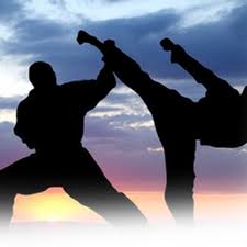 Image result for MIDDLESBROUGH KARATE ACADEMY