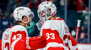 Image result for Hersham Hockey Club