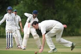 Image result for Henley Cricket Club