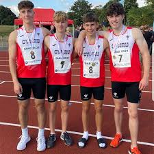Image result for Pembrokeshire Harriers
