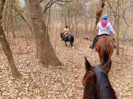 Image result for Lakes Riding Club