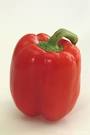 Red Pepper pictures, free use image, 09-11-51 by FreeFoto.
