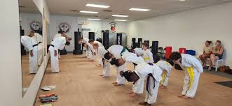 Image result for Burnley Wado Ryu Karate Club