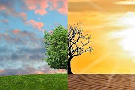 Image result for pemanasan global