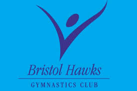 Image result for Bristol Hawks Gymnastics Club