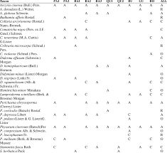 Attēlu rezultāti vaicājumam “Badhamia juliae”