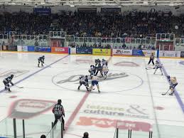 Image result for Dundee Stars