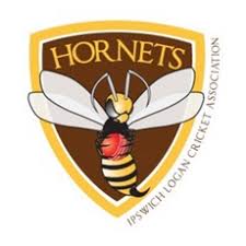 Image result for Ipswich Cricket Club