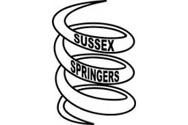 Image result for Angmering Stoolball Club