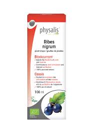 Attēlu rezultāti vaicājumam “Ribes nigrum”