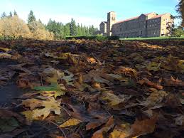 Image result for St Edwards Sac