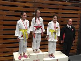 Image result for Worthing judo club