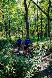Image result for Bogtrotters Mountain Bike Club