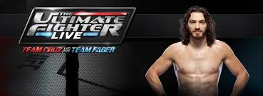 Image result for Wolverine MMA