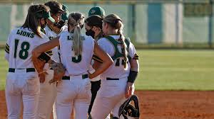 Image result for Lions Softball Club