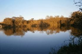 Image result for Orpington District Angling Association