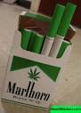 cool cigarettes