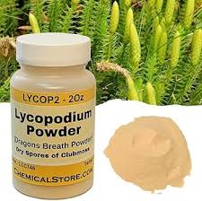 Attēlu rezultāti vaicājumam “Lycogala fuscoolearium spores”