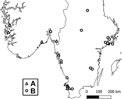 Attēlu rezultāti vaicājumam “Oxyrrhynchium hians var. rigidum macro”