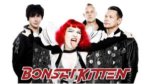 Kuvahaun tulos haulle bonsaikitten